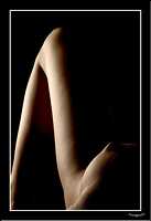 4CRW_9179 copie.jpg