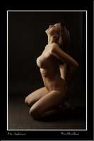 _MG_7750 copie.jpg