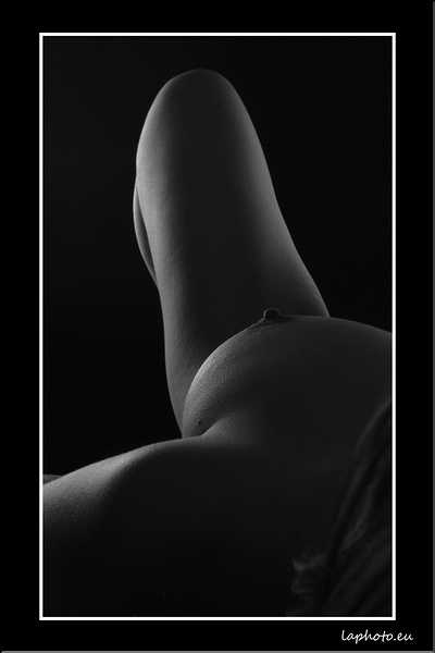 _MG_0464 copie.jpg