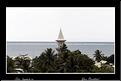 MG_4584 copie
