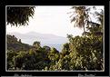 MG_4585 copie