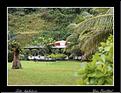 MG_4589 copie