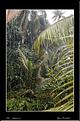 MG_4594