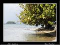 MG_4639 copie