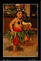 MG_4743 copie