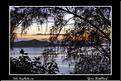 MG_5296 copie