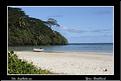 MG_5732 copie