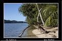 MG_5737 copie