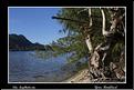 MG_5740 copie