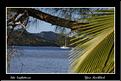 MG_5743 copie