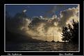 MG_5939 copie