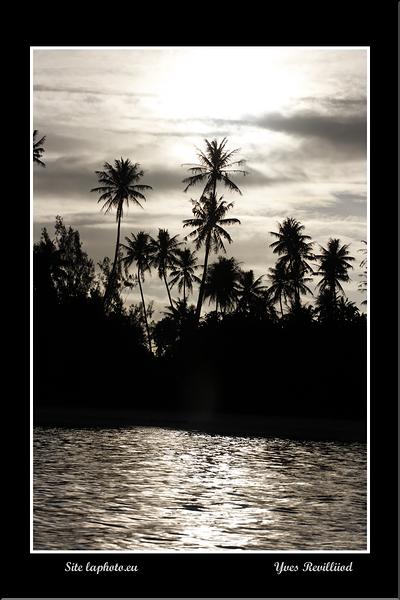 MG_5941 copie