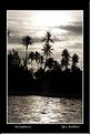 MG_5941 copie