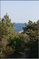 MG_0757