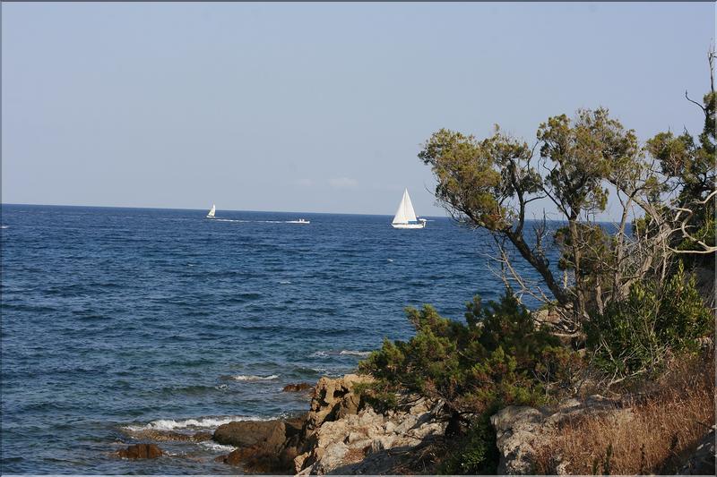 MG_0771