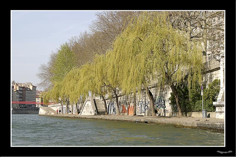 aIMG_4990 Bord de Saone Elodie copie