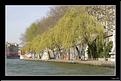 aIMG_4990 Bord de Saone Elodie copie