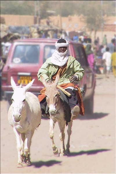 IMG_2M