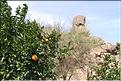 IMG_2M