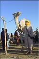 IMG_2M