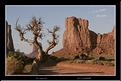 a_MG_6802