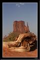 b_MG_6777 copie