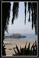 MG_5667 copie