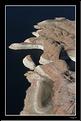 MG_6328 copie