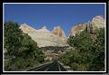 MG_7279 copie