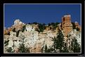 MG_7443 copie