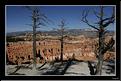 MG_7486 copie