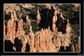 MG_7511 copie