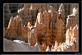 MG_7531 copie