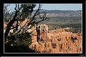MG_7540 copie