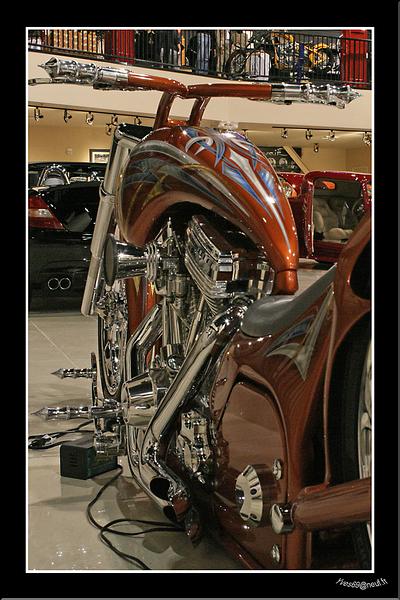 MG_8004 copie