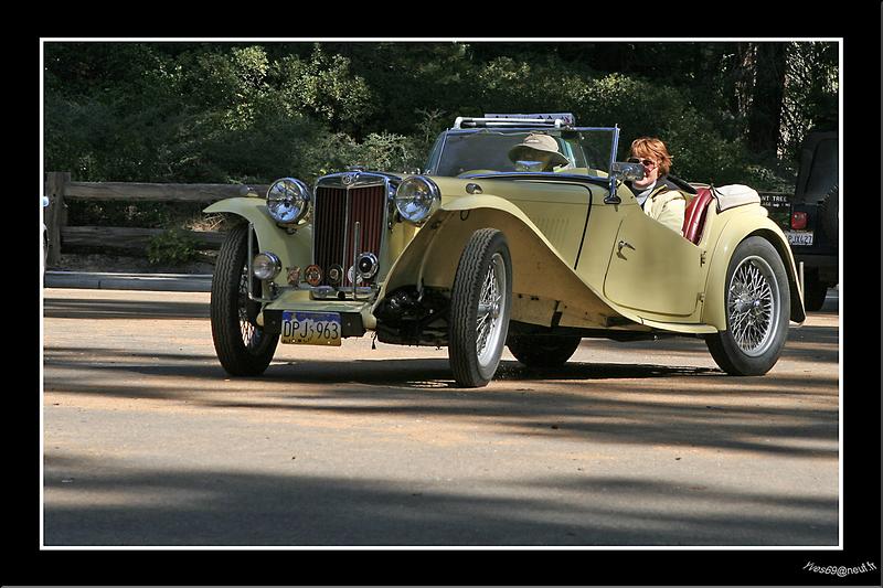 MG_8483 copie