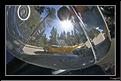 MG_8541 copie