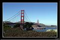 MG_9202 copie